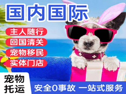 淮安机场托运国际宠物托运 【国